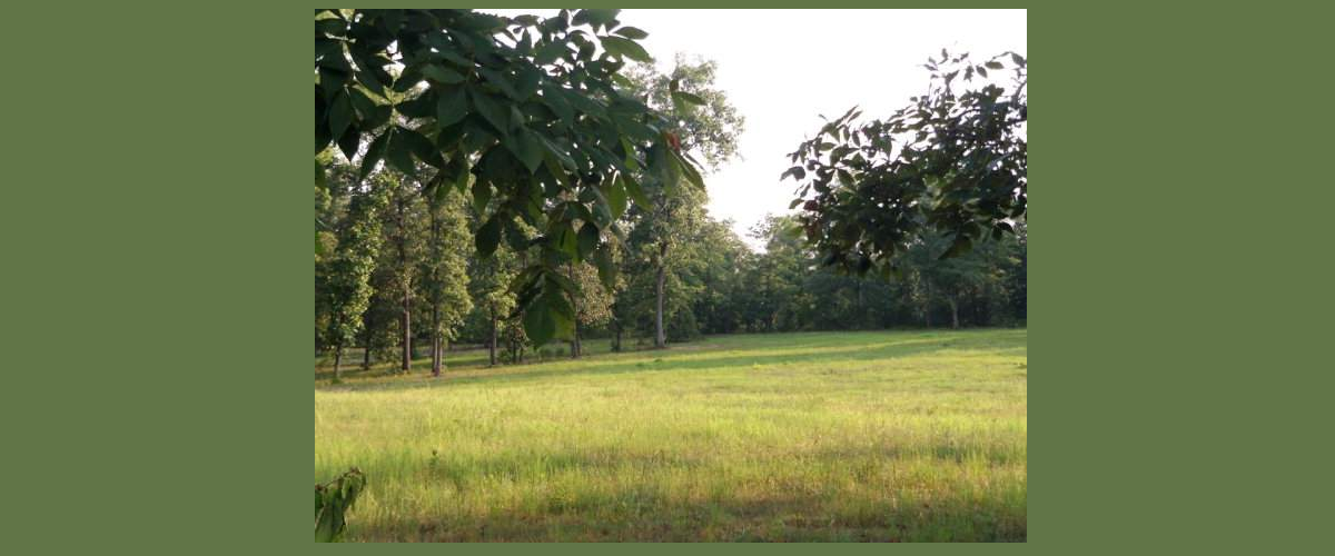 Hatchaway Bridge Farms